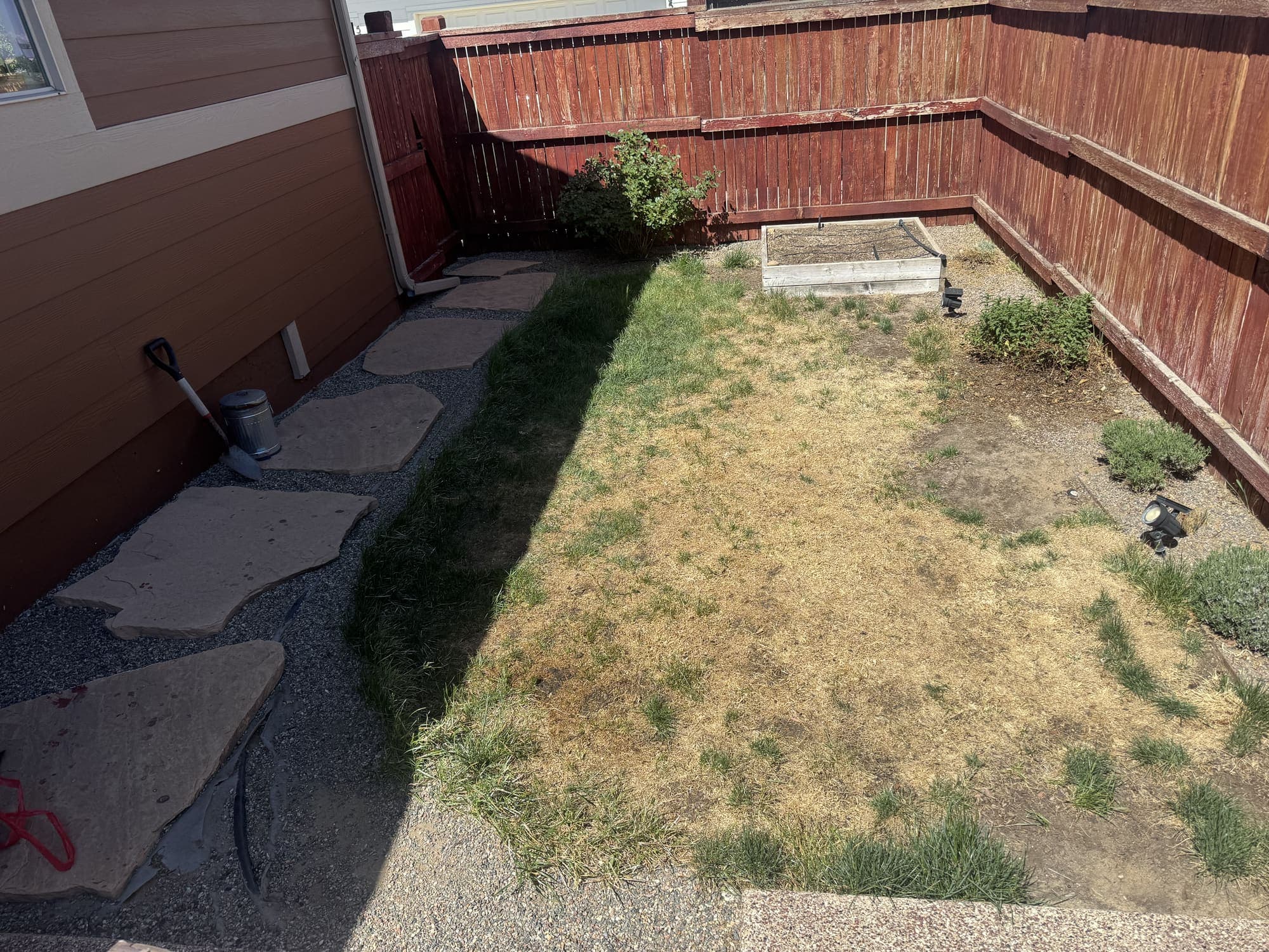 Small backyard before the redesign: patchy dried lawn, a weathered raised bed, and a bare wood privacy fence